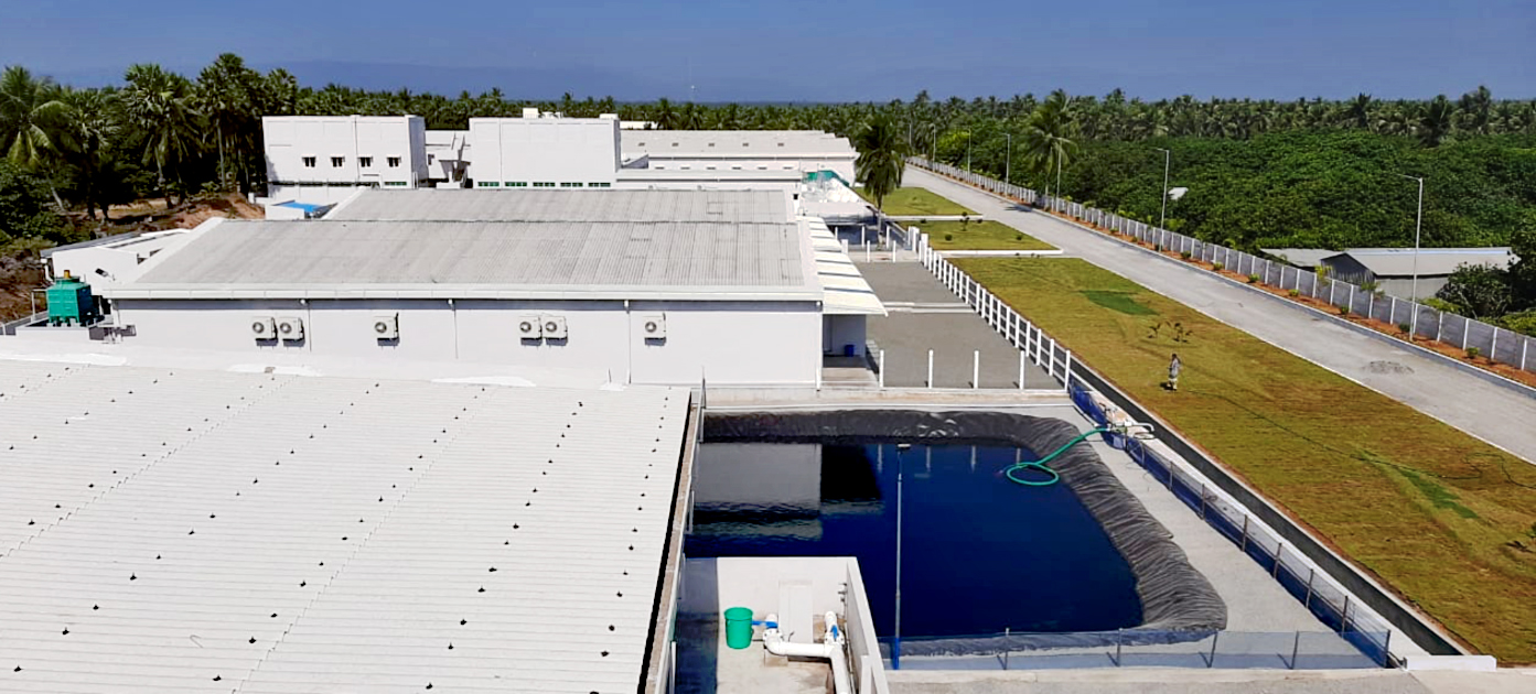 hatchey-top-view